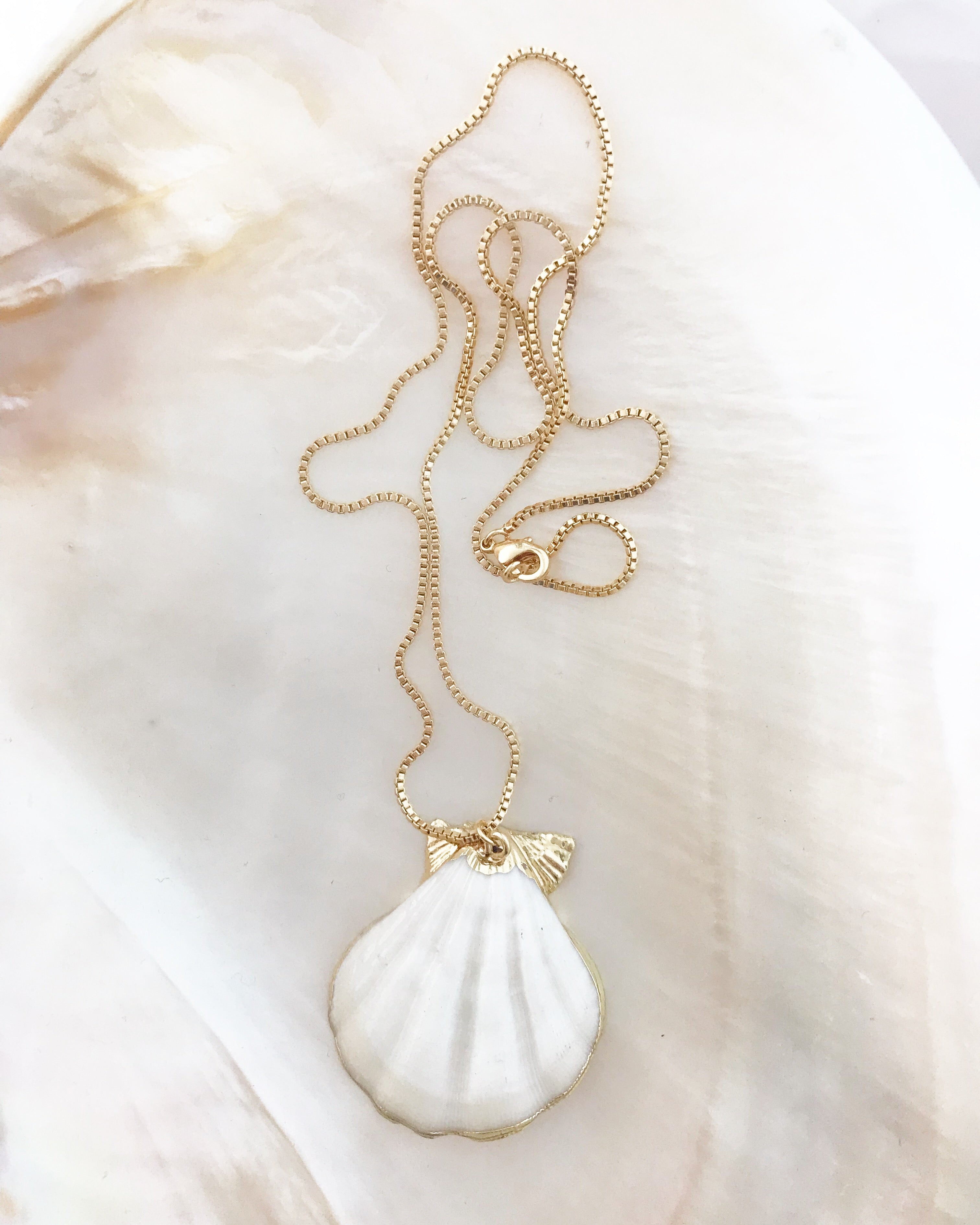 Capri Shell Necklace